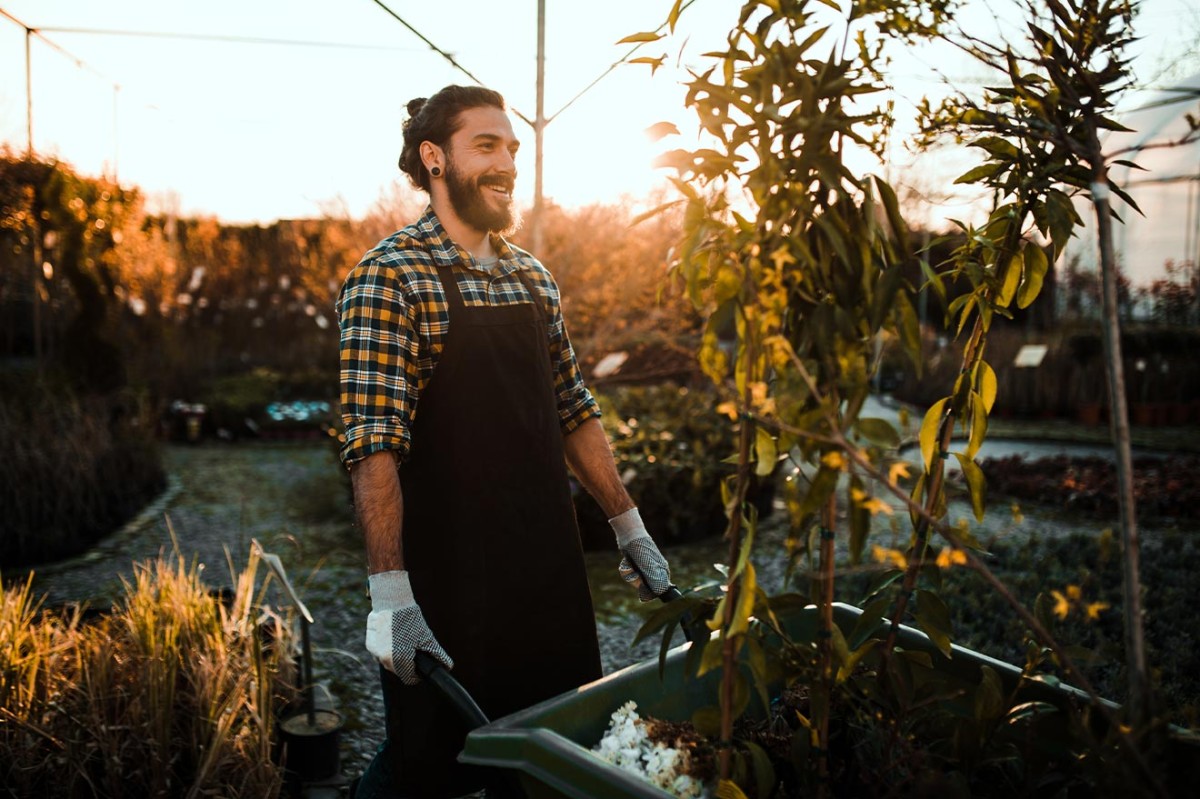 Plantas no jardim: para quem a natureza nunca é demais